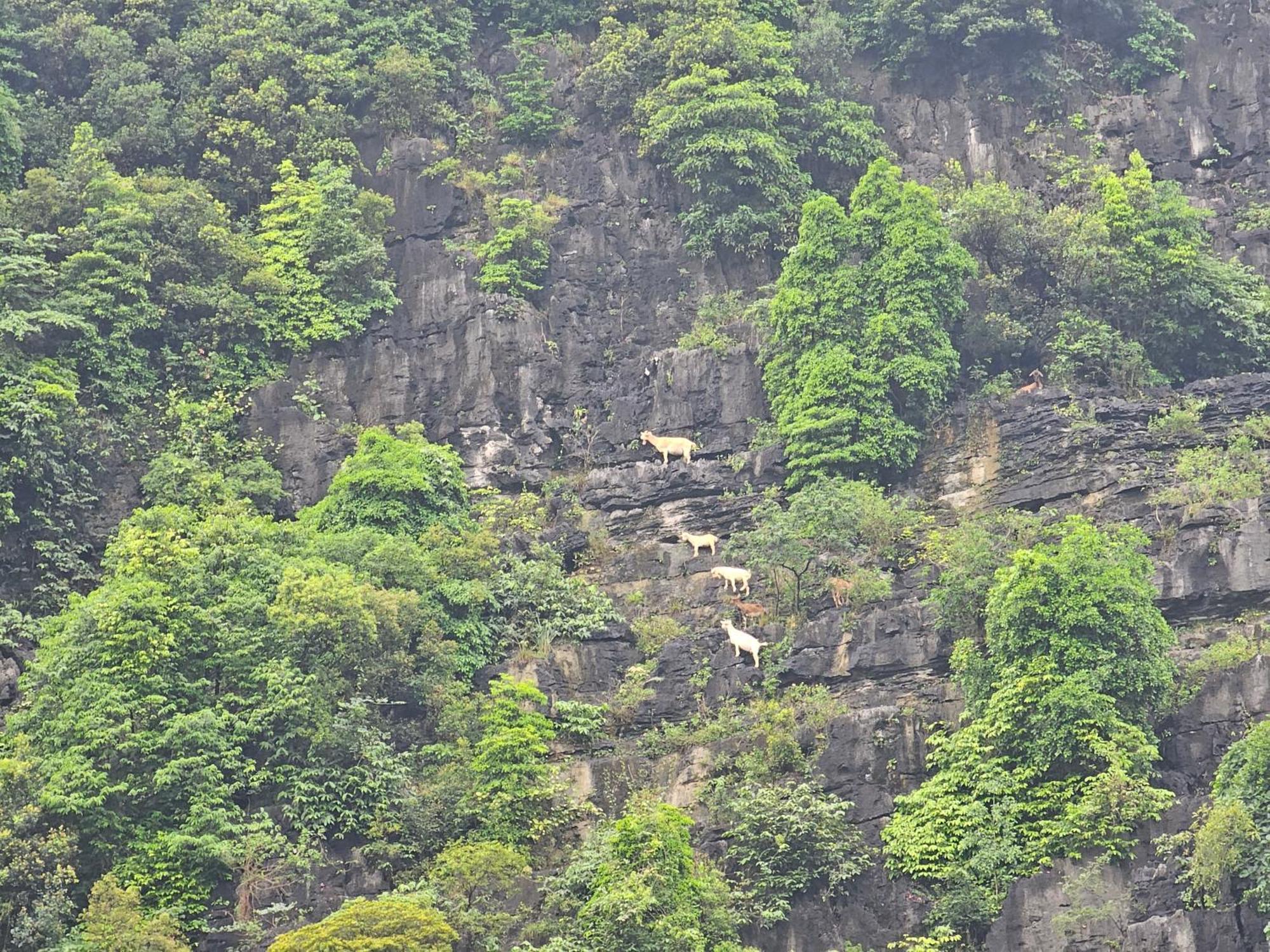 宁平 Fairy Mountain Retreat酒店 外观 照片