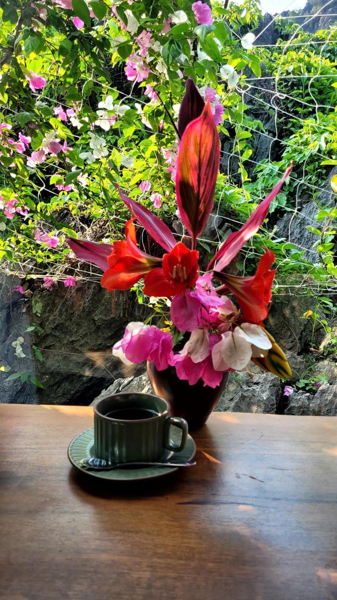 宁平 Fairy Mountain Retreat酒店 外观 照片